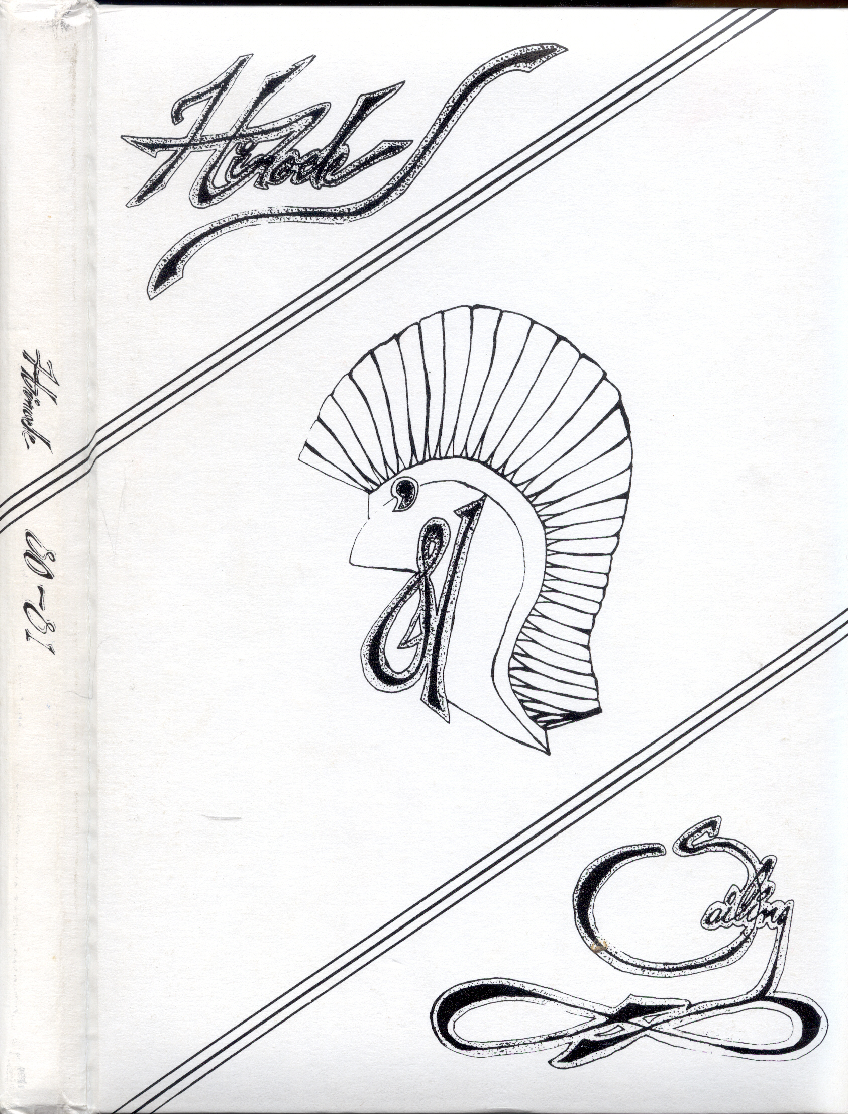 1981 yearbook cover